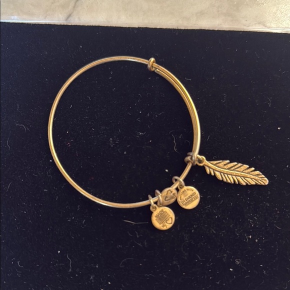 Alex and Ani Gold Feather Charm Bracelet - Picture 1 of 2
